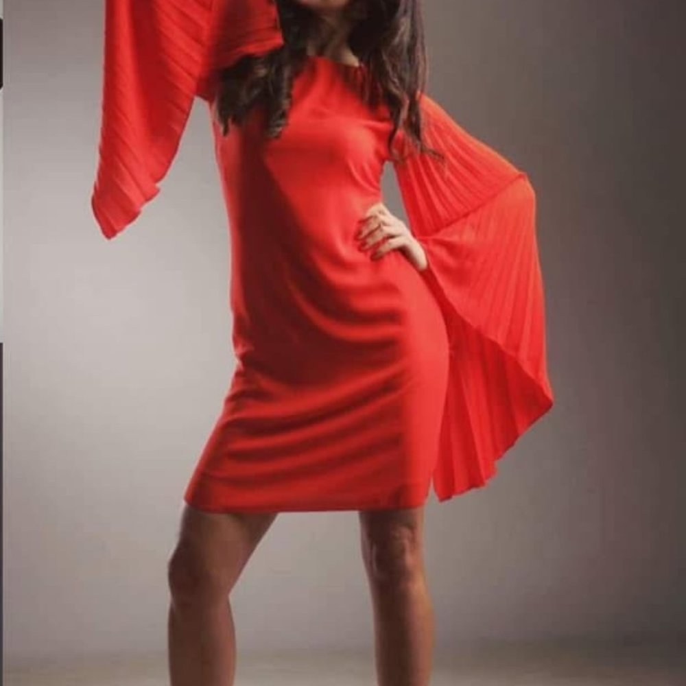 NWT Sandra Ferrone Dress